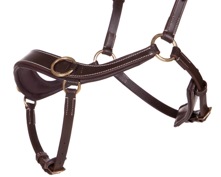 Brązowe ogłowie bezwędzdłowe anatomiczne QHP Anatomic