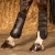 Ochraniacze dla konia na tylne nogi Harry's Horse Grand Prix w kolorze czarnym