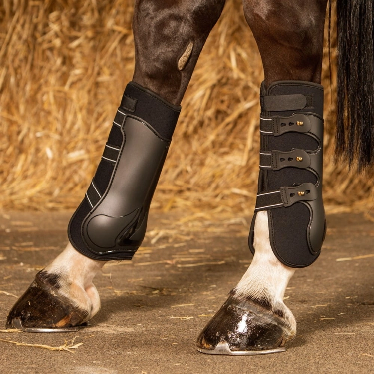 Ochraniacze dla konia na tylne nogi Harry's Horse Grand Prix w kolorze czarnym