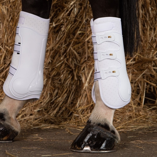 HARRY'S HORSE Ochraniacze Tył GRAND PRIX Białe