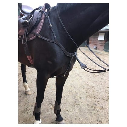 Czarny napierśnik skórzany Harry's Horse Deluxe na koniu