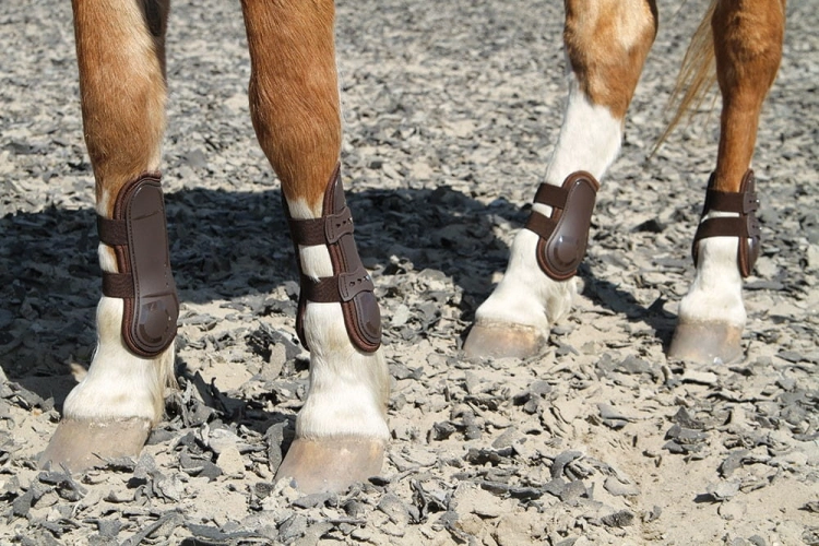Ochraniacze dla konia na przednie i tylne nogi Harry's Horse Persy Air w kolorze brązowym na koniu