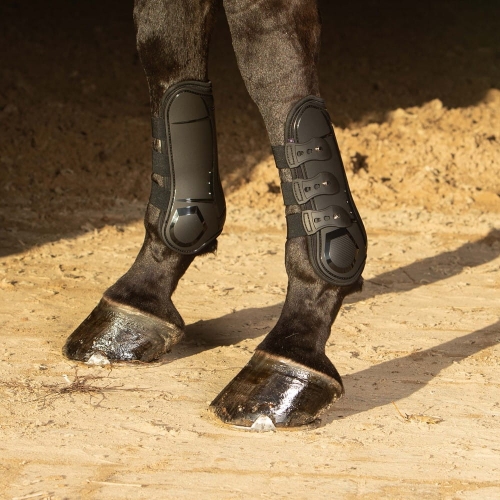 Ochraniacze dla konia na przednie nogi Harry's Horse Persy Air w kolorze czarnym na koniu