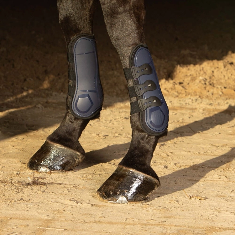 Ochraniacze dla konia na przednie nogi Harry's Horse Persy Air w kolorze granatowym na koniu