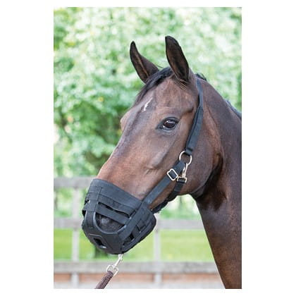 HARRY'S HORSE Kaganiec AIR