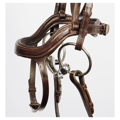 Brązowe ogłowie dla konia Harry's Horse Anatomic