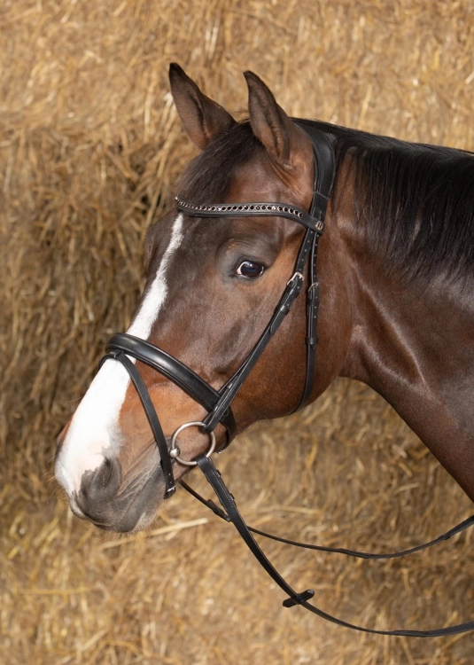 Ogłowie Harry's Horse Nero Soft w kolorze czarnym z czarnymi  kryształkami na koniu