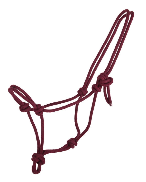 Bordowy halter sznurkowy dla konia QHP