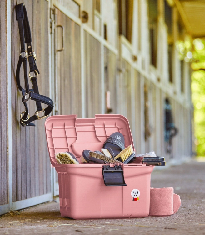 Skrzynka na szczotki Waldhausen Eco w kolorze linnea pink