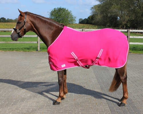 Derka polarowa dla konia QHP w kolorze fuchsia na koniu