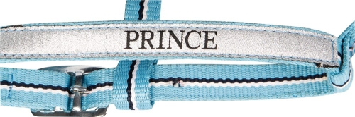 Kantar dla źrebaka z uwiązem w kolorze blue Harry's Horse Prince