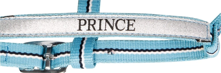 Kantar dla źrebaka z uwiązem w kolorze blue Harry's Horse Prince