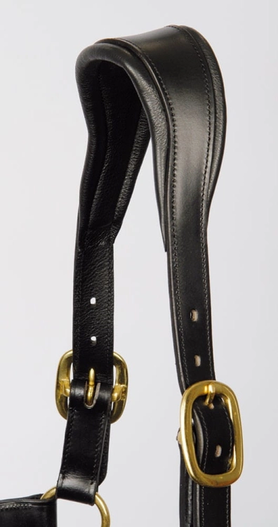 Skórzany kantar z anatomiczną potylicą Harry's Horse Anatom w kolorze black