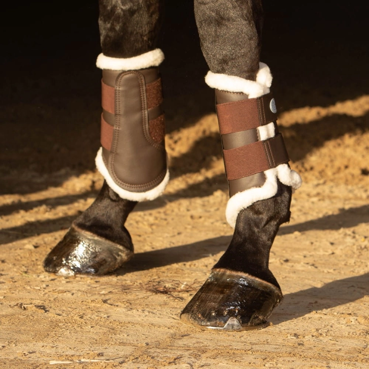 Ochraniacze dla konia Harry's Horse Flextrainer w kolorze brązowym