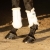 Ochraniacze dla konia Harry's Horse Flextrainer w kolorze białym
