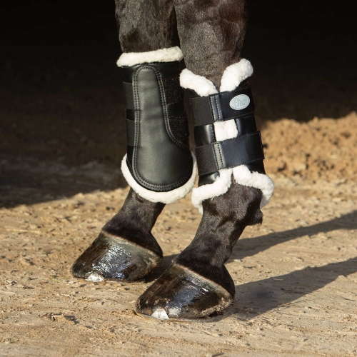 Ochraniacze dla konia Harry's Horse Flextrainer w kolorze czarnym