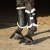 Ochraniacze dla konia Harry's Horse Flextrainer w kolorze czarnym