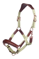 HKM Kantar anatomiczny EDINBURGH pistachio