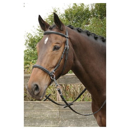 Ogłowie bezwędzidłowe Harry's Horse Crossover zaprezentowane na koniu