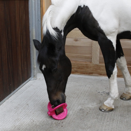 BIZZY Ball uchwyt do lizawki PINK
