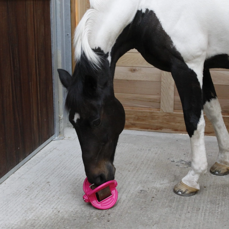 BIZZY Ball uchwyt do lizawki PINK