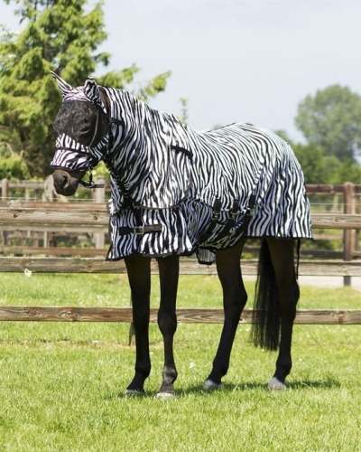 Derka przeciwko owadom z kapturem i klapą na brzuch QHP zebra na koniu