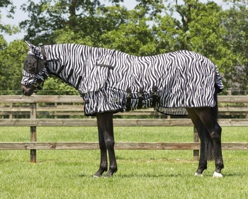 Derka siatkowa z kapturem i maską QHP zebra na koniu
