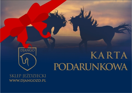 Karta PODARUNKOWA 100zł