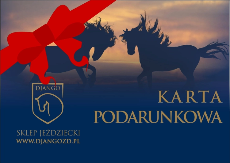 Karta PODARUNKOWA 100zł