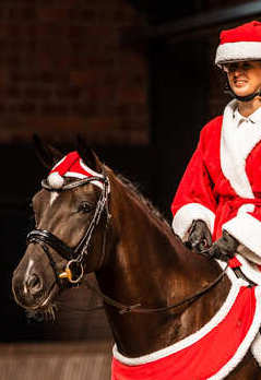 Świąteczne akcesoria dla konia i jeźdźca Horze Christmas Red