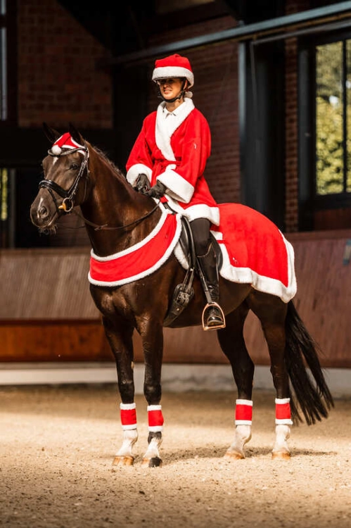 Świąteczne akcesoria dla konia i jeźdźca Horze Christmas Red