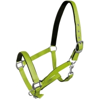 YORK kantar FLUO zielony