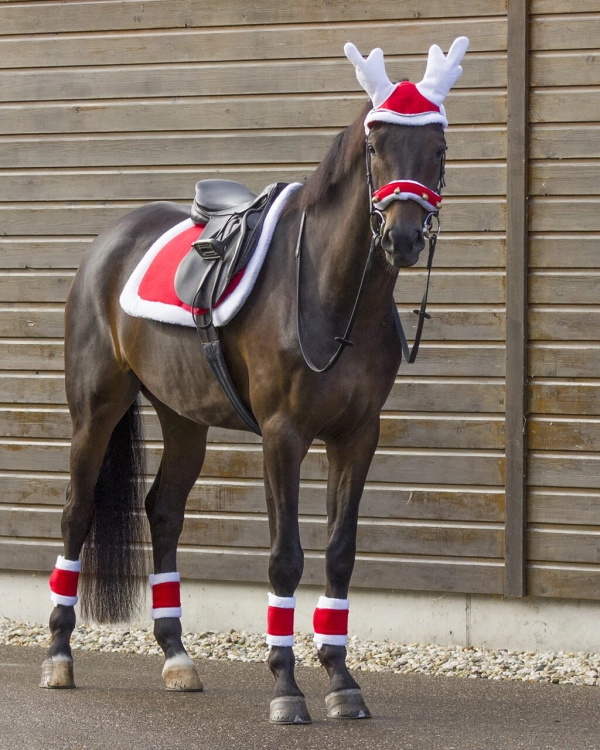 Czaprak świąteczny QHP Christmas w kolorze czerwonym na koniu