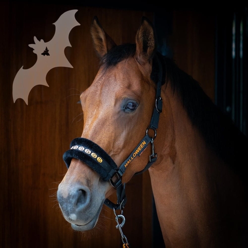 Zestaw Halloweenowy kantar z futerkiem i uwiązem Harry's Horse na koniu