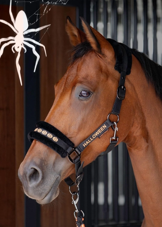 Zestaw Halloweenowy kantar z futerkiem i uwiązem Harry's Horse na koniu