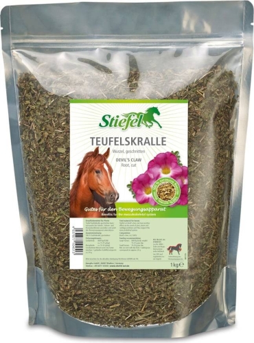 STIEFEL Teufelskralle-czarci pazur/ na stawy