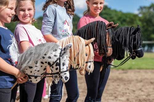 Konie Hobby Horse HKM