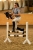 Konik Hobby Horse HKM zaprezentowany przez modelkę