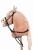 HKM wytok HOBBY HORSE black