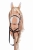 HKM wytok HOBBY HORSE black