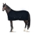 Derka polarowa Horze Kiel w kolorze Dark Navy na koniu