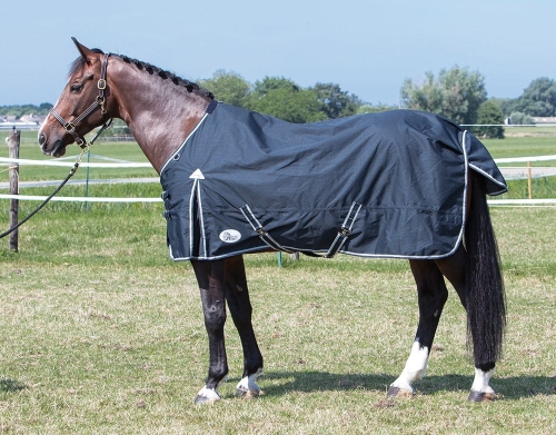 HARRY'S HORSE Derka p/deszczowa GRAFITOWA