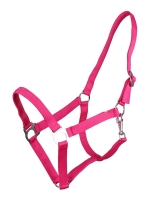QHP kantar TAŚMOWY fuchsia