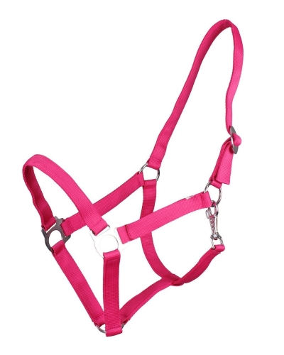 Kantar dla konia taśmowy QHP w kolorze fuchsia