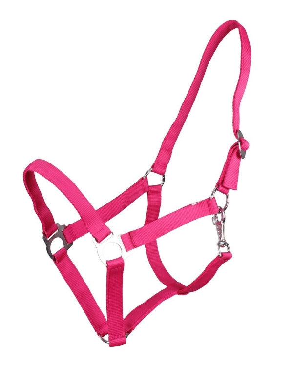 Kantar dla konia taśmowy QHP w kolorze fuchsia