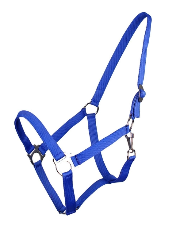 Kantar dla konia taśmowy QHP w kolorze cobalt blue