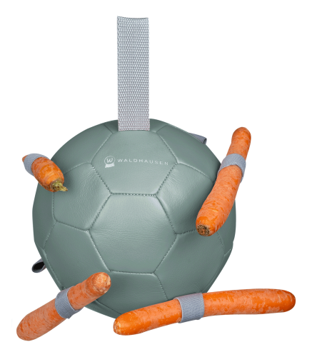 Zabawka dla konia Waldhausen Ball w kolorze zielonym