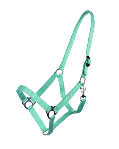 Kantar dla konia taśmowy QHP w kolorze turquoise