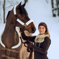 HORZE kantar LINCOLN dark brown  24H