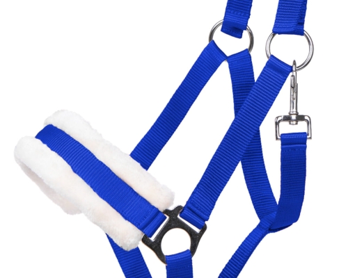 Kantar z futerkiem QHP Cali w kolorze cobalt blue